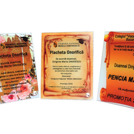 Plachete personalizate de absolvire