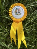 Cocarde de absolvire - imagine 2