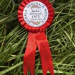 Cocarde de absolvire