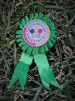 Cocarde de absolvire - imagine 4